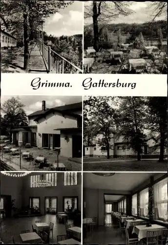 Ak Grimma in Sachsen, HO Gaststätte Gattersburg, Außenansicht, Terrasse, Innenansicht, Speisesaal