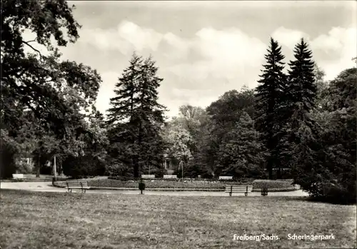 Ak Freiberg in Sachsen, Scheringerpark