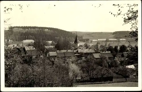 Ak Berga an der Elster Thüringen, Panorama