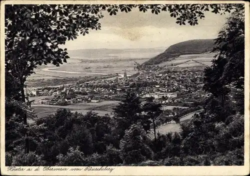 Ak Höxter an der Oberweser vom Räuschberg, Panorama