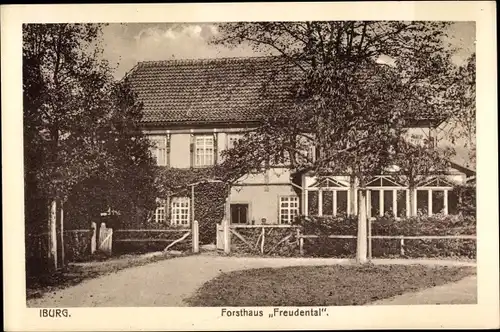 Ak Bad Iburg am Teutoburger Wald, Forsthaus Freudental