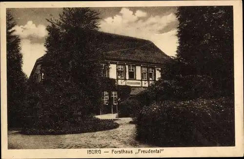 Ak Bad Iburg am Teutoburger Wald, Forsthaus Freudental