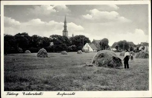 Ak Tating in Nordfriesland, Dorfansicht, Heu, Bauern