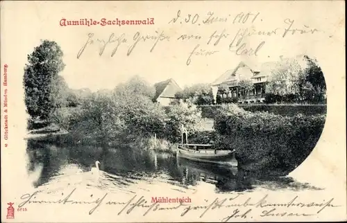 Ak Aumühle Sachsenwald, Ortschaft mit Mühlenteich