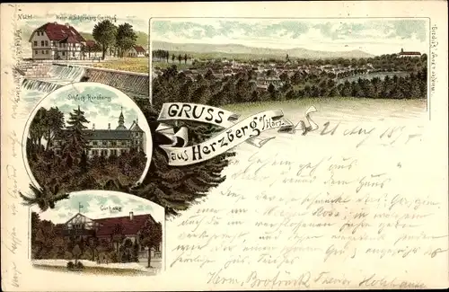 Litho Herzberg am Harz, Hotel weißes Ross, Gasthof, Schloss, Kurhaus, Totalansicht