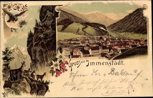 Litho Immenstadt im Allgäu Schwaben, Totalansicht der Ortschaft, Gemsen