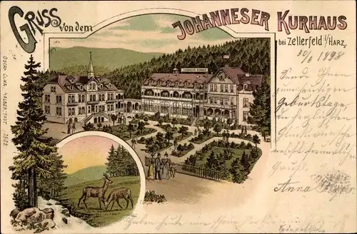 Litho Clausthal Zellerfeld im Oberharz, Johanneser Kurhaus, Rehe