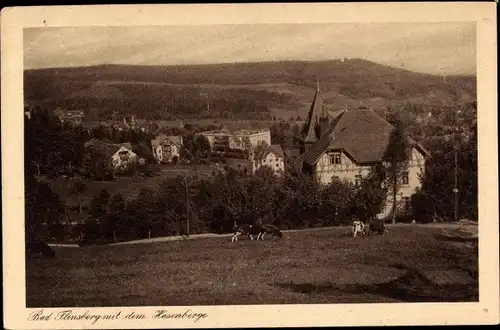 Ak Świeradów Zdrój Bad Flinsberg Schlesien, Teilansicht mit dem Hasenberge