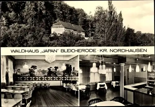 Ak Bleicherode am Harz, Waldhaus Japan, Innen und Außen