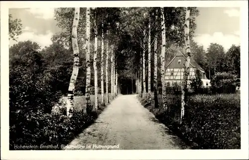 Ak Hohenstein Ernstthal in Sachsen, Birkenallee im Hüttengrund