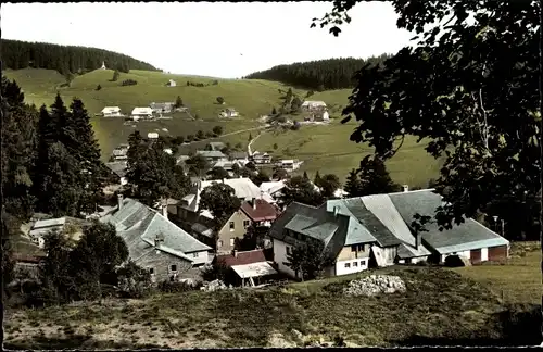 Ak Todtnauberg Todtnau im Schwarzwald, Panorama