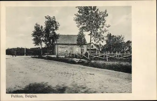 Ak Pelikan Belgien, Friedhof