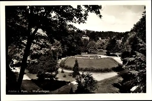 Ak Köslin Pommern, Blick auf die Wallanlagen, Bäume