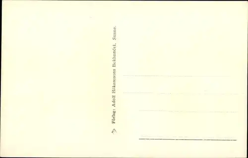 Ak Sunne Schweden, Teilansicht