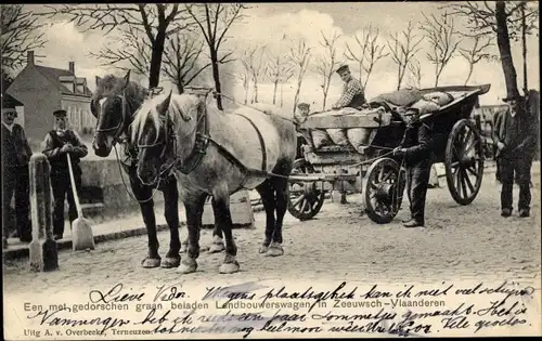 Ak Landbouwerswagen in Zeeuwsch-Vlaanderen, Kutsche