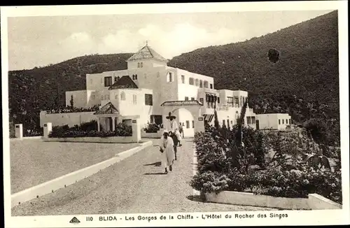 Ak Blida Algerien, Les Gorges de la Chiffa, l'Hotel du Rocher des Singes