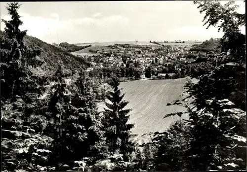 Ak Berga an der Weißen Elster Thüringen, Panorama