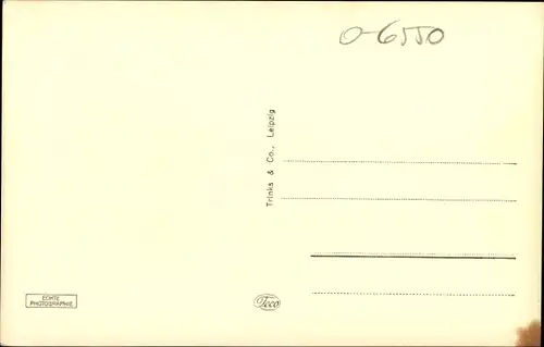 Ak Schleiz in Thüringen, Kirche, Schloss, Bergkirche, Marktbrunnen, Rathaus, Neue Siedlung