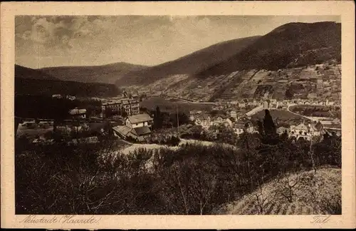 Ak Neustadt an der Weinstraße, Panorama