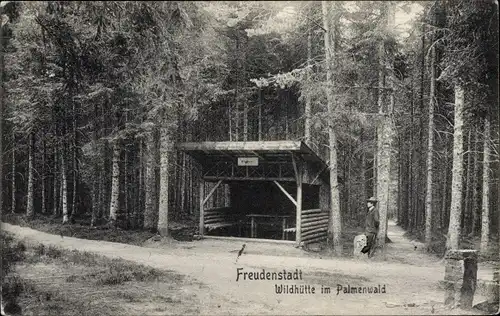 Ak Freudenstadt im Nordschwarzwald, Wildhütte im Palmenwald