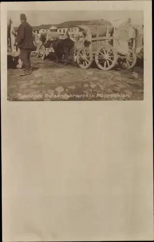Foto Ak Mazedonien, Typisches Ochsenfuhrwerk