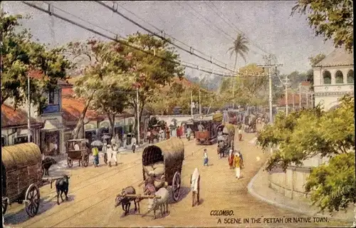 Ak Pettah Colombo Ceylon Sri Lanka, A Scene in the Pettah or native Town
