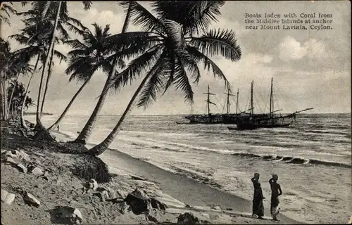 Ak Ceylon Sri Lanka, Boats laden with Coral from the Maldive Islands at anchor near Mount Lavinia