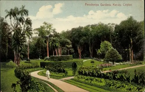 Ak Kandy Sri Lanka Ceylon, Peradeniya Botanic Gardens