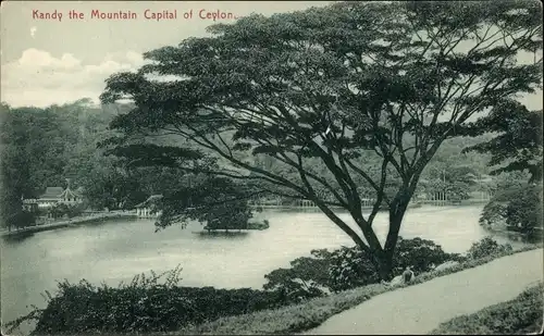 Ak Kandy Sri Lanka Ceylon, Kandy Lake, Showing Library