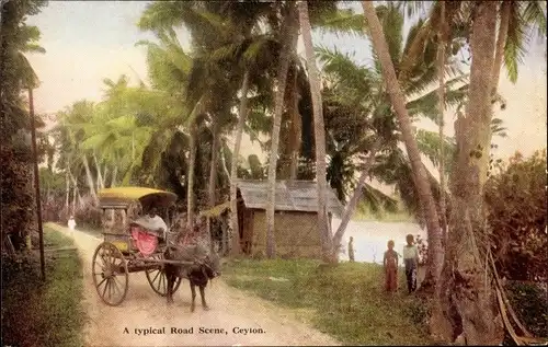 Ak Ceylon Sri Lanka, A typical Road Scene