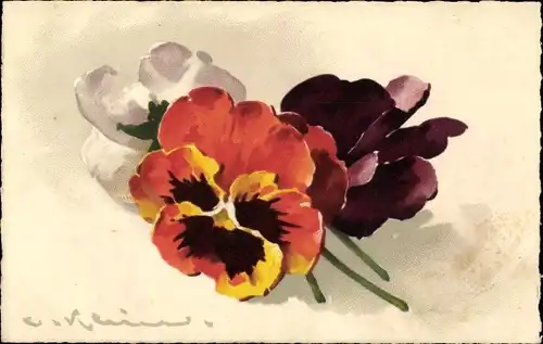 Künstler Litho Klein, Catharina, Stiefmütterchen, Blumen, Blüten