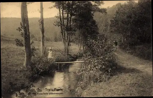 Ak Trois Ponts Dreibrücken Wallonien Lüttich, Sous bois pittoresque, Mädchen am Ufer vom Bach