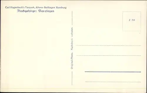 Ak Hamburg Eimsbüttel Stellingen, Carl Hagenbecks Tierpark, Tharziegen