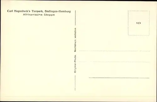 Ak Hamburg Stellingen, Carl Hagenbecks Tierpark, Afrikanische Steppe