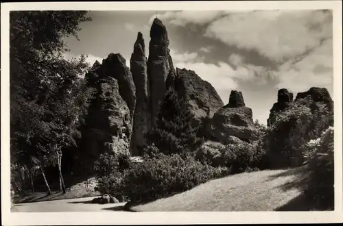 Ak Hamburg Eimsbüttel Stellingen, Carl Hagenbecks Tierpark, Hochgebirgs-Panorama