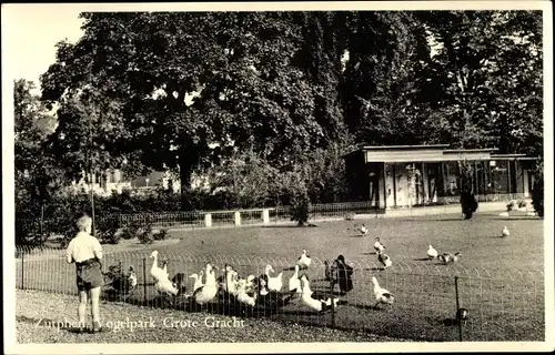 Ak Zutphen Gelderland, Vogelpark Grote Gracht