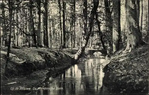 Ak Hierden Gelderland, Op de Veluwe, De Hierdensche Beek