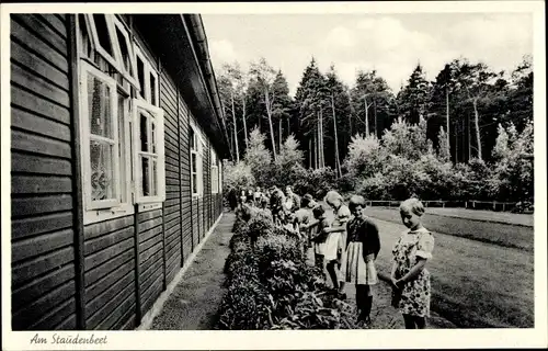 Ak Hesel Ostfriesland, Ev.-Lutherisches Kinder-und Altenheim, Kinder am Staudenbeet