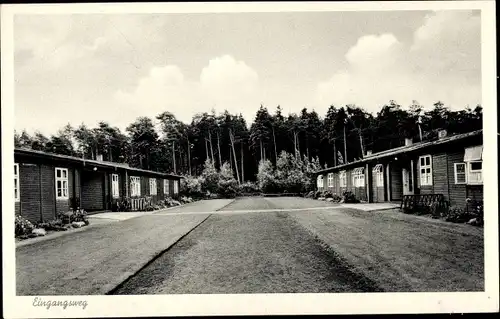 Ak Hesel Ostfriesland, Ev.-Lutherisches Kinder-und Altenheim, Eingangsweg