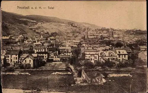 Ak Neustadt an der Weinstraße, Panorama