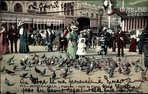 Ak Monte Carlo Monaco, Pigeons, Café de Paris