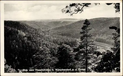 Ak Wünschendorf an der Elster, Blick vom Mooshüttchen