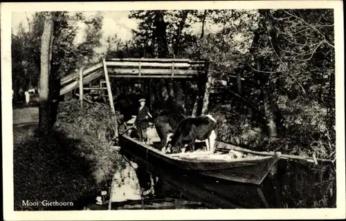 Ak Mooi Drenthe Niederlande, Mooi Giethoorn, Kuh und Menschen auf Kahn, Holzbrücke