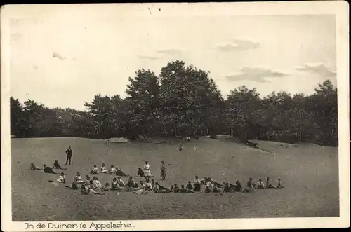 Ak Appelscha Fryslân Friesland Niederlande, In de Duinen