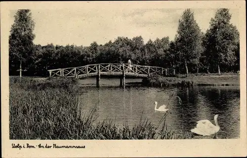 Ak Słupsk Stolp Pommern, An der Neumannsaue