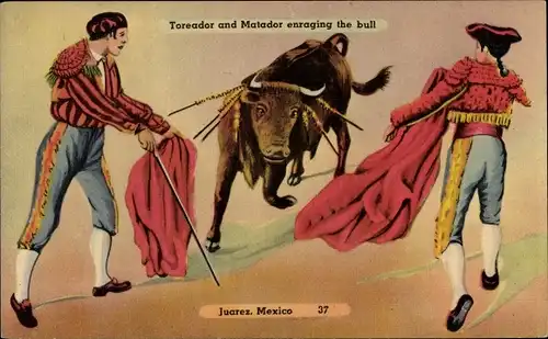 Ak Toreador and Matador enraging the bull