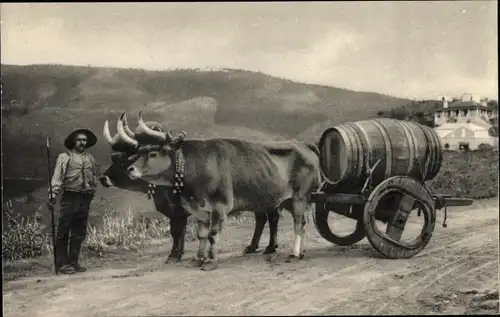 Ak Bauer mit Fuhrwerk, Faß-Transport, Rind