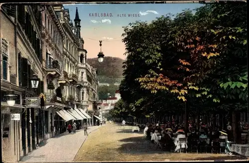 Ak Karlovy Vary Karlsbad Stadt, Alte Wiese