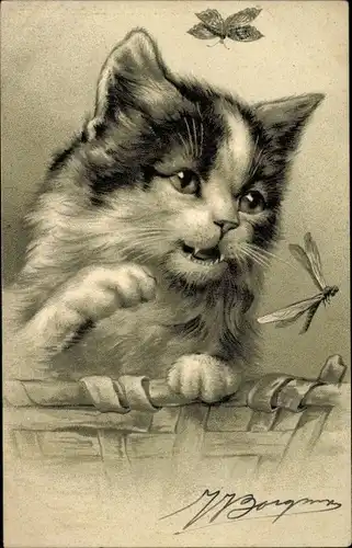 Präge Litho Schwarz weiße Katze, Libelle, Schmetterling