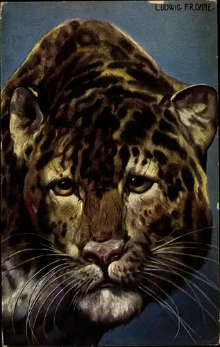 Künstler Ak Fromme, Ludwig, Leopard, Tierportrait